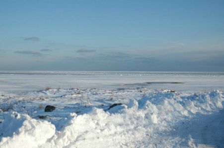 Als Odde er også et rart sted om vinteren, når det hele er dækket af sne, og hvor man kan se, hvordan isen skruer langs kysten.